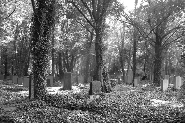 jüdischer friedhof berlin weissensee jewish cemetery cimetière juif passé décomposé bethhahayim sepulcra judaica