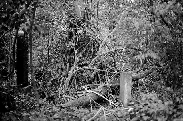 jüdischer friedhof berlin weissensee jewish cemetery cimetière juif passé décomposé bethhahayim sepulcra judaica